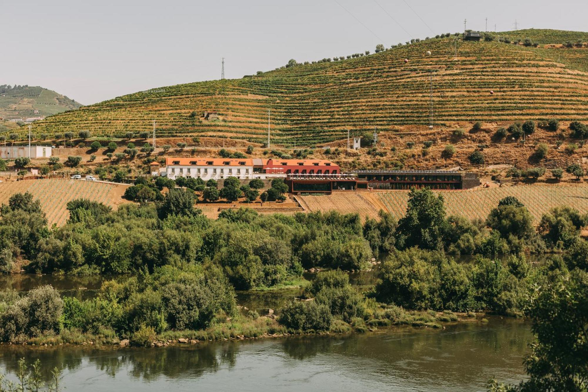 Torel Quinta Da Vacaria - Douro Valley ペーゾ・ダ・レーグア エクステリア 写真