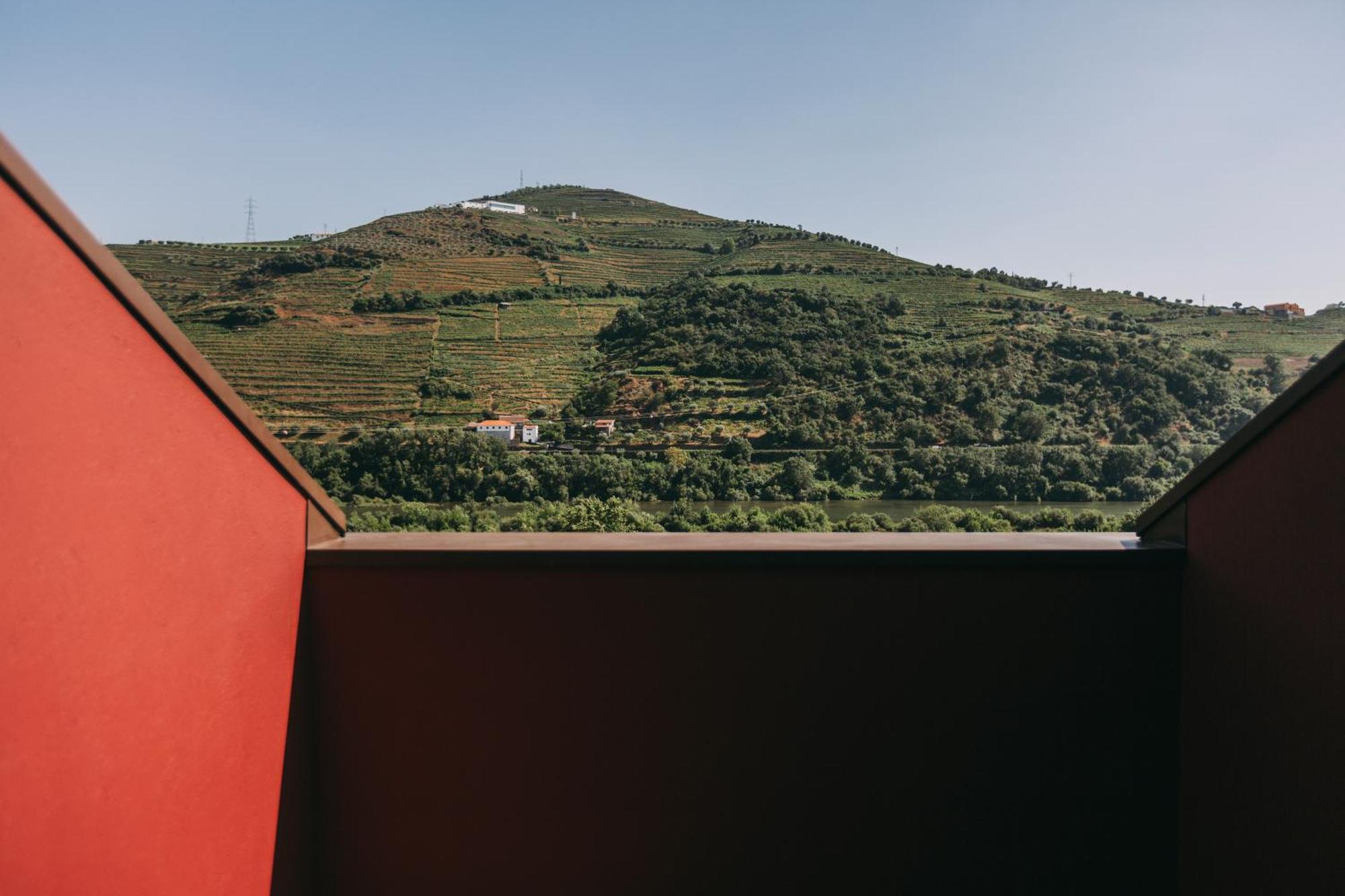 Torel Quinta Da Vacaria - Douro Valley ペーゾ・ダ・レーグア エクステリア 写真